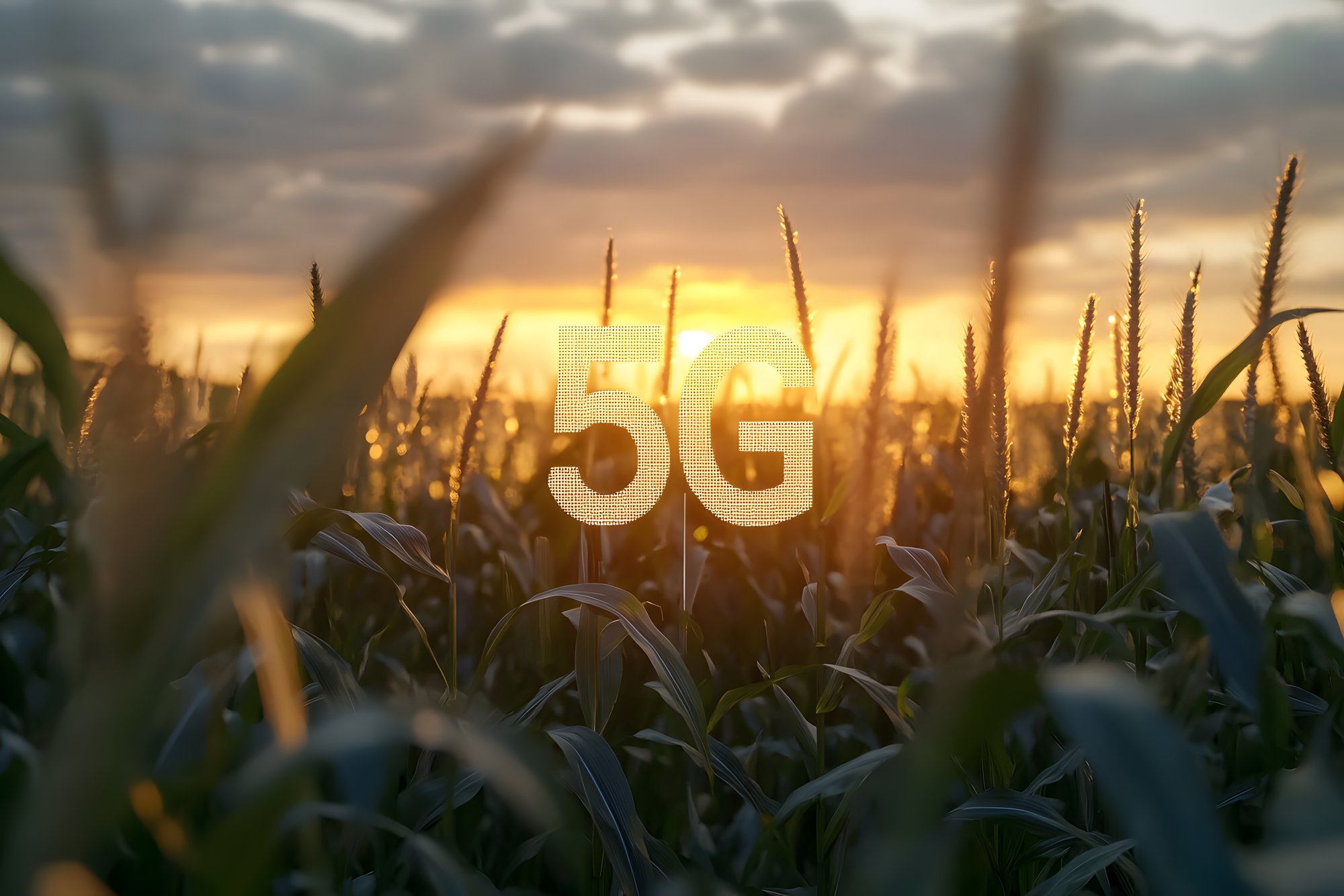 AdobeStock_1468694751